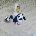 8神童8头像