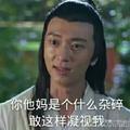chengongbljsggd头像