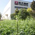 刘卫平51头像