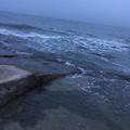 Mrwang173002472头像
