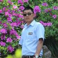 聪明旭日28头像