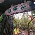 饭饭55099142头像