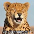 纪30957133头像