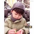 陈豪38839235头像