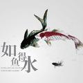 外挂67288头像