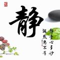 风中的承诺28837955头像