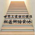 上进的叶子VF头像
