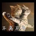 铭宇纺织83813135头像