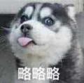 大勇52166348头像