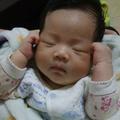 豆爷149884532头像
