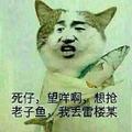 爱吃鱼的小猫疯头像