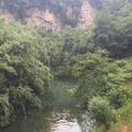 曾曦8头像