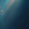 名字都是浮云会喷才真头像