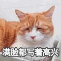 茧刺头像
