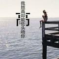 无敌大鱼头像