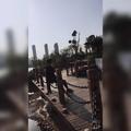 提莫炖蘑菇阿喂头像