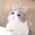 Fairytale196551581头像