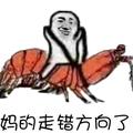 大战皮皮虾头像