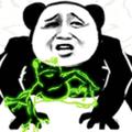 161199515头像
