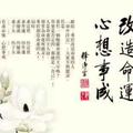 为快乐而行1头像