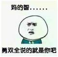 吃瓜群众人民代表头像