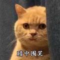 大大怪露屁屁外星人头像