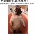 林RS头像