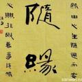 随缘202508490头像