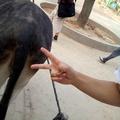 好好好202627841头像