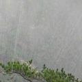 振204760475头像