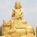张栋56203349807头像
