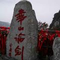 SP212020823头像