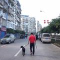213106219头像