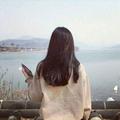 蝶恋花1210169226头像
