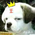 宋日天_头像