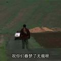 金刚62208976805头像