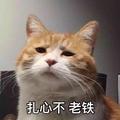 Gz2113902头像