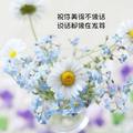 夏沫217923329头像