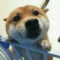 21824218289895头像