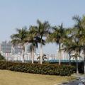 海阔天空219324805头像