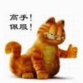 君无涯6头像