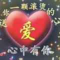 无缘对面手难牵2头像