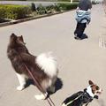 WOL设计师220876086头像