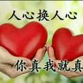 展翅翱翔224398045头像