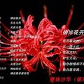 幸福232131177头像