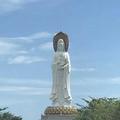 全力以赴231702950头像