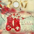 静心233227655头像