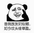 鸿鸿系度头像