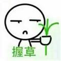 凯爷202111919头像