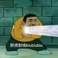 一只你不了解的胖虎头像